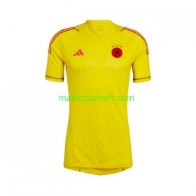 Maillot de Foot Allemagne Extérieur Gardien Coupe du monde 2022 - Enfant